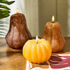 Candle - Flameless LED Pumpkin or Gourd