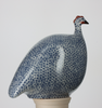 Guinea Fowl - Small - Electric Blue Speckled White - Findlay Rowe Designs
