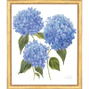 Framed Print - Hydrangea Bloom 22x26 - Kate Sherrill