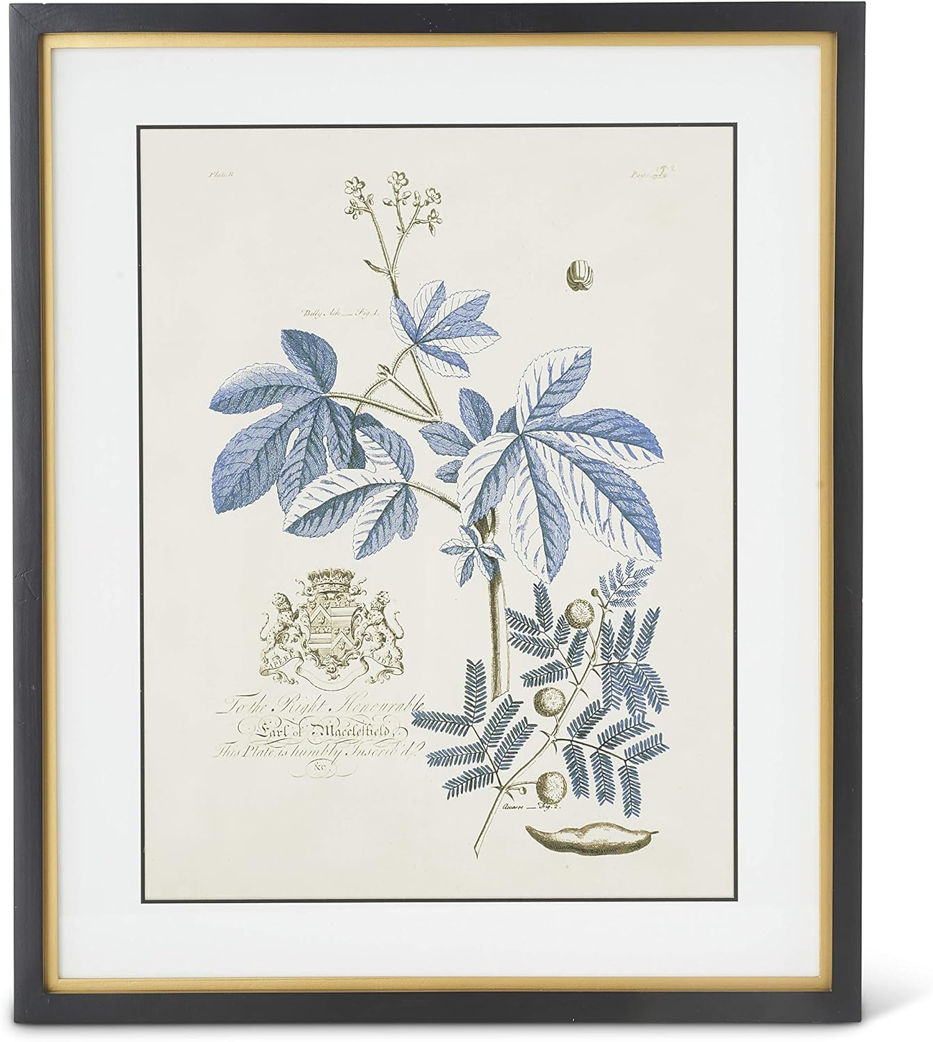Framed Print - Blue Arbor - 23.75in - Findlay Rowe Designs