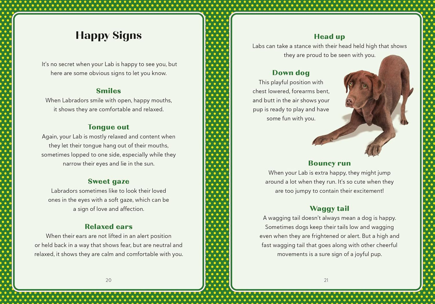 A Labrador Life: What to Know and Love About the Labrador Retriever - Findlay Rowe Designs