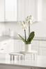 Mud Pie - Beaded Pedestal Tray - Large White - Findlay Rowe Designs