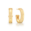 Earrings - Cleopatra Classic Medium Hoop - Gold - Findlay Rowe Designs