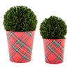 Mud Pie - Boxwood Tartan Pots