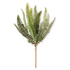 Spray - Fish Bone Fern Stem - 14.5 Inch - Findlay Rowe Designs