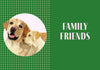 A Labrador Life: What to Know and Love About the Labrador Retriever - Findlay Rowe Designs