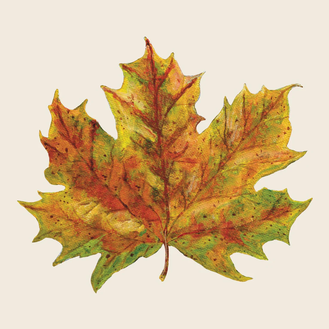 Hester & Cook - Cocktail Napkins - Fall Foliage