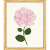 Framed Print - Hydrangea 20x24 - The Leonard Collection