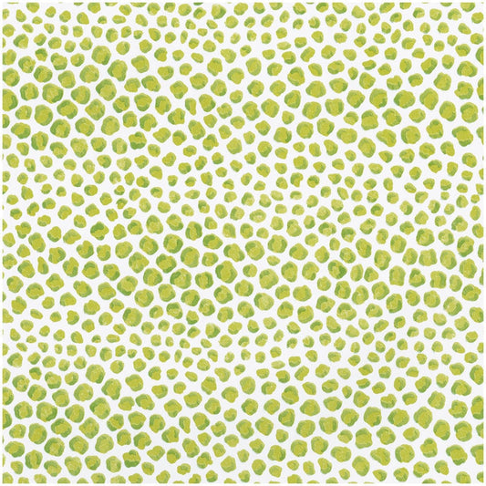 Caspari - Gift Wrap Roll - Just Spots - Lime   STORE PICKUP ONLY - Findlay Rowe Designs