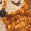 Mr. Bird - Hot Foxy Seed Feeder