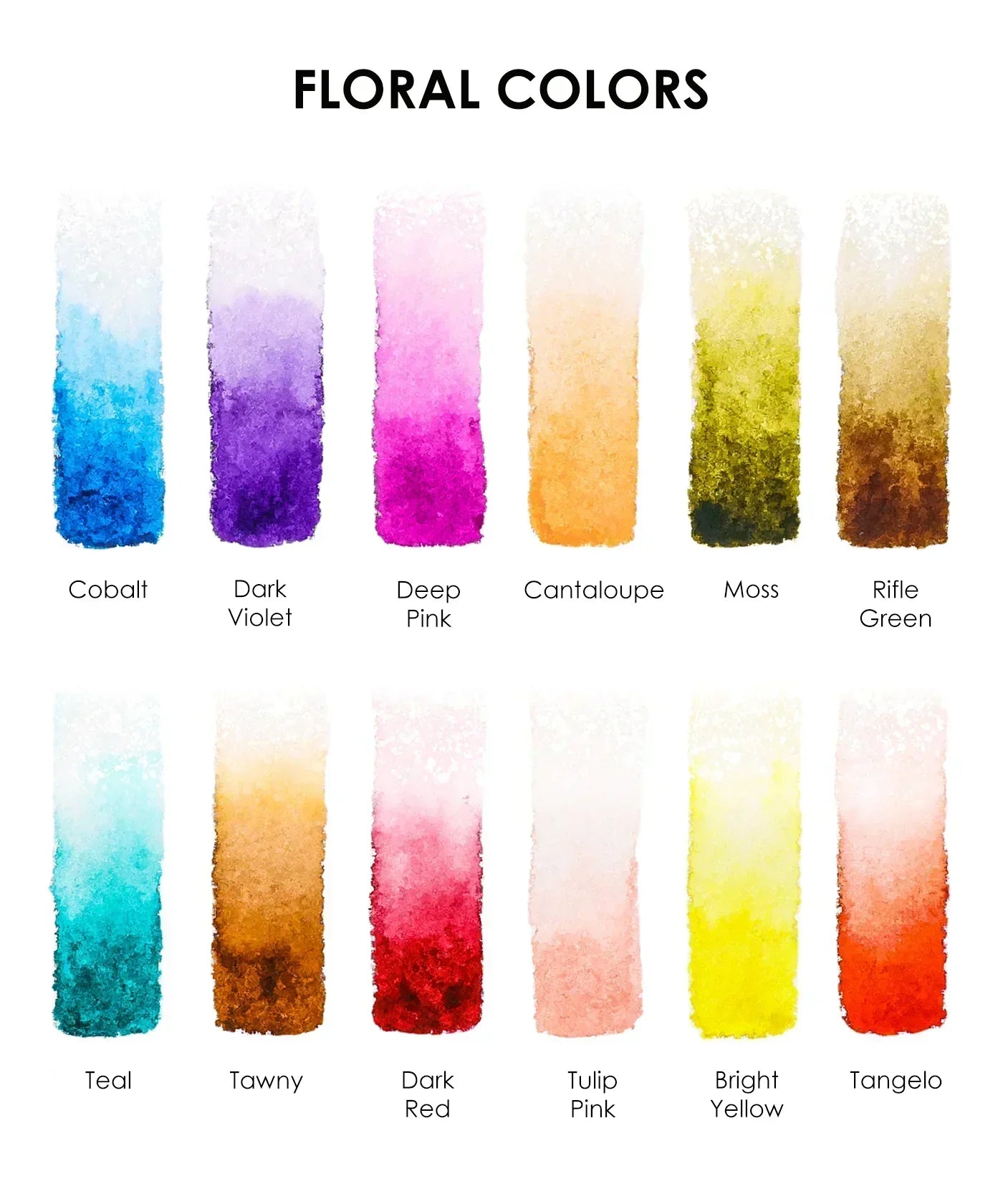 Grabie - Watercolor Pocket Set Of 12 With Brush - Floral Colors - Findlay Rowe Designs