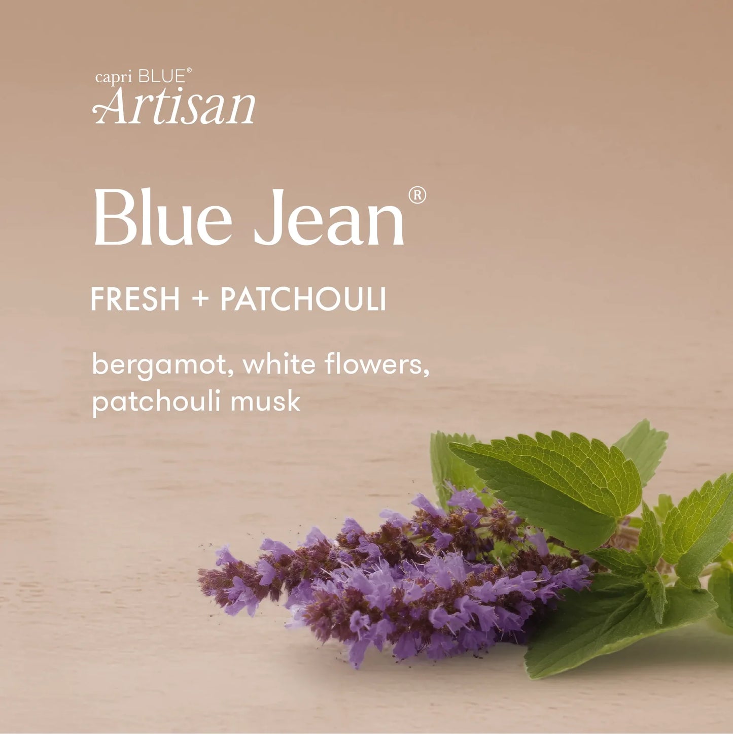 Capri Blue - Reed Diffuser 8oz - Blue Jean Terrazza Velluto - Findlay Rowe Designs
