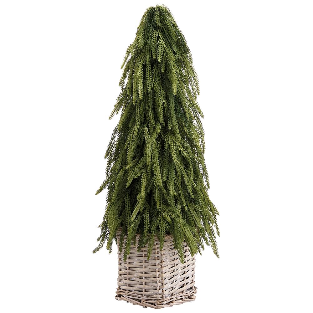 Allstate Floral - 25" Cypress Cone Topiary in Basket - Findlay Rowe Designs
