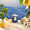 Voluspa - Classic Candle - Mediterranean Lemon - Findlay Rowe Designs