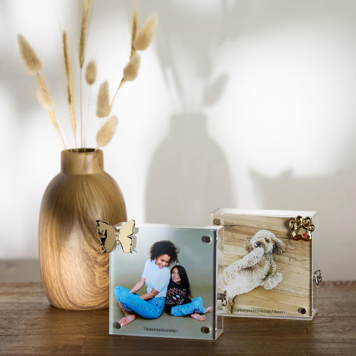 Demdaco - Frame - 4x4 - Paw Prints Acrylic Magnetic Musical - Findlay Rowe Designs
