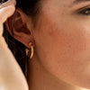 Earrings  - Berry Small Hoop Earrings - Gold - Findlay Rowe Designs