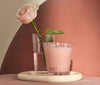 Nest - Classic Candle  8.1oz - Himalayan Salt & Rosewater