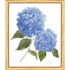 Framed Print - Hydrangea Bloom 22x26 - Kate Sherrill