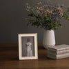 Beatriz Ball - Encanto - Jason Frame - 4x6 - Cream