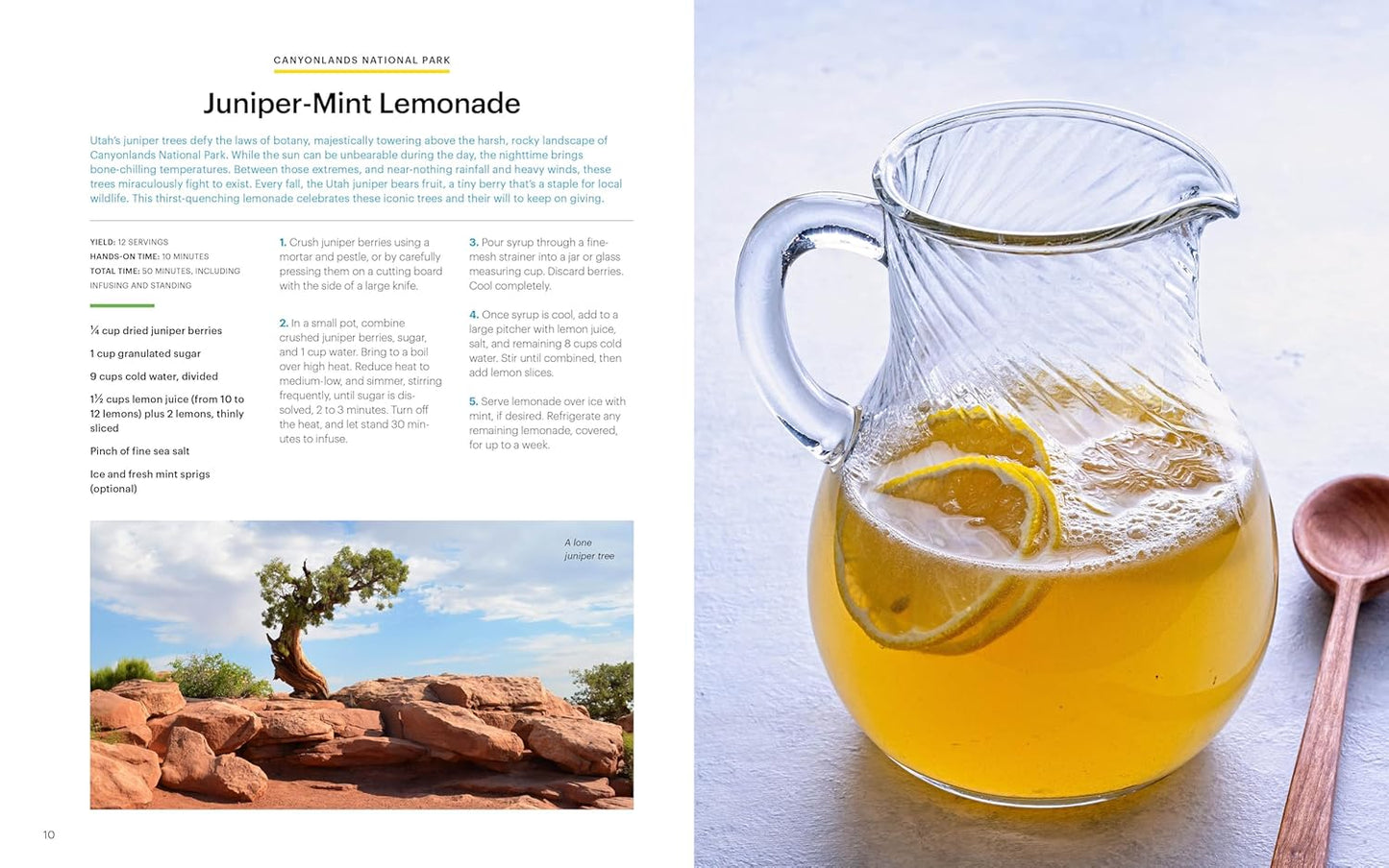 National Geographic National Parks Cookbook - Findlay Rowe Designs