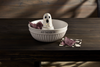 Mud Pie - Light-Up Sitter - Ghost - Findlay Rowe Designs