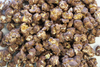 Bear Food - Dark Chocolate Cherry Gourmet Popcorn - 1.5oz - Findlay Rowe Designs