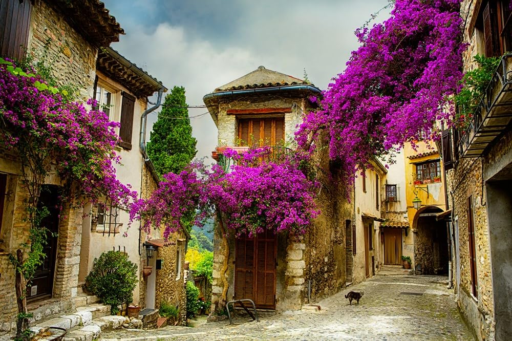 Charming France - Findlay Rowe Designs