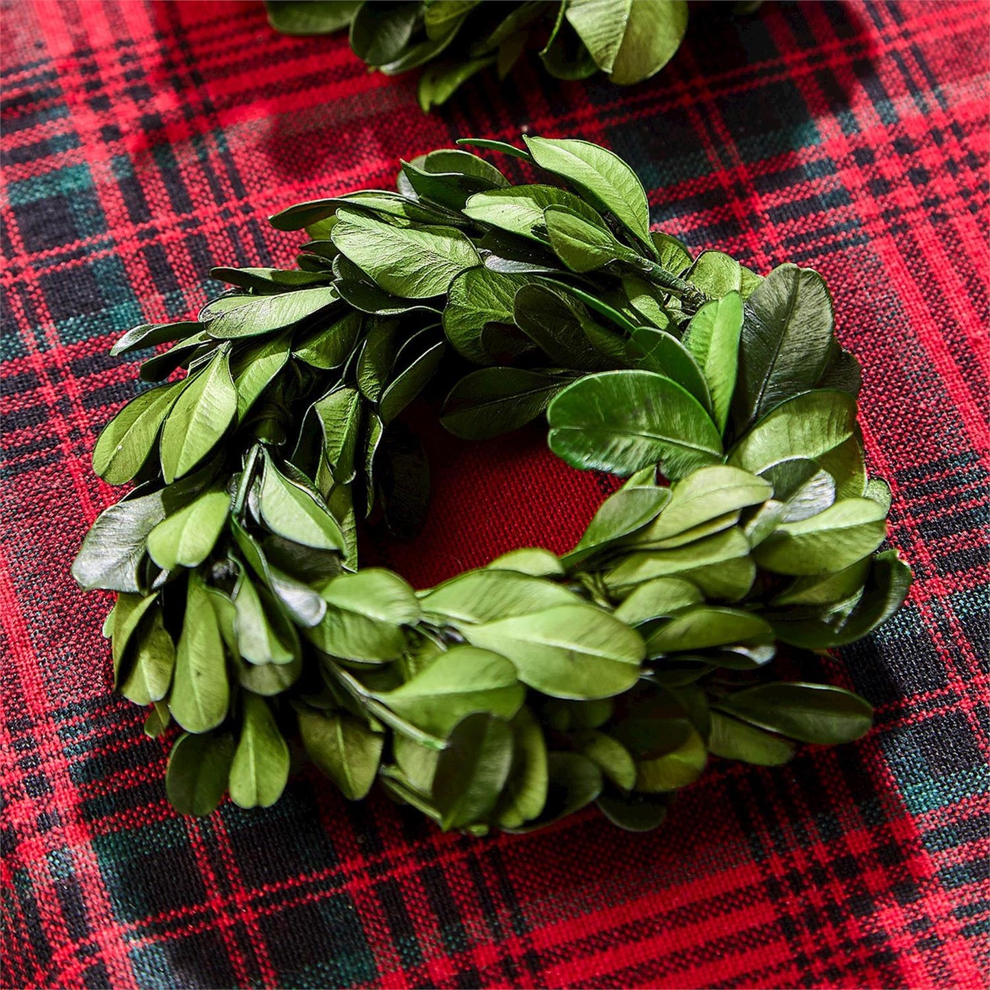 Napkin Rings - Preserved Boxwood Wreath