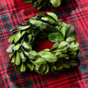 Napkin Rings - Preserved Boxwood Wreath