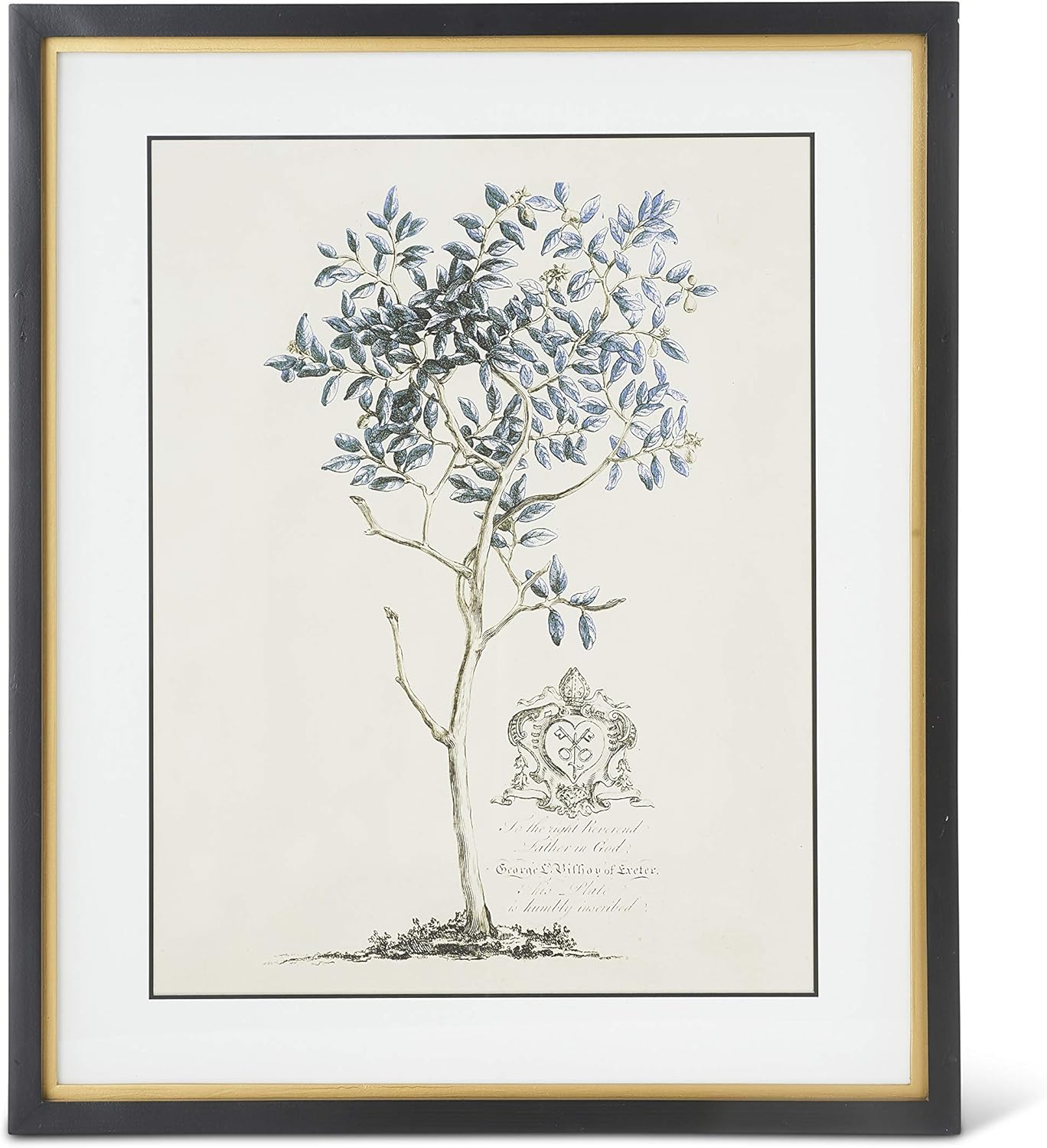 Framed Print - Blue Arbor - 23.75in - Findlay Rowe Designs