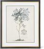 Framed Print - Blue Arbor - 23.75in - Findlay Rowe Designs