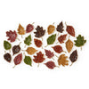 Autumn Allure  Enameled Leaf Plate - Findlay Rowe Designs