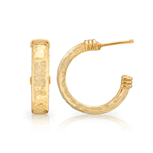 Earrings - Cleopatra Classic Medium Hoop - Gold - Findlay Rowe Designs