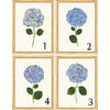 Framed Print - Hydrangea 14x18 Linen- The Leonard Collection