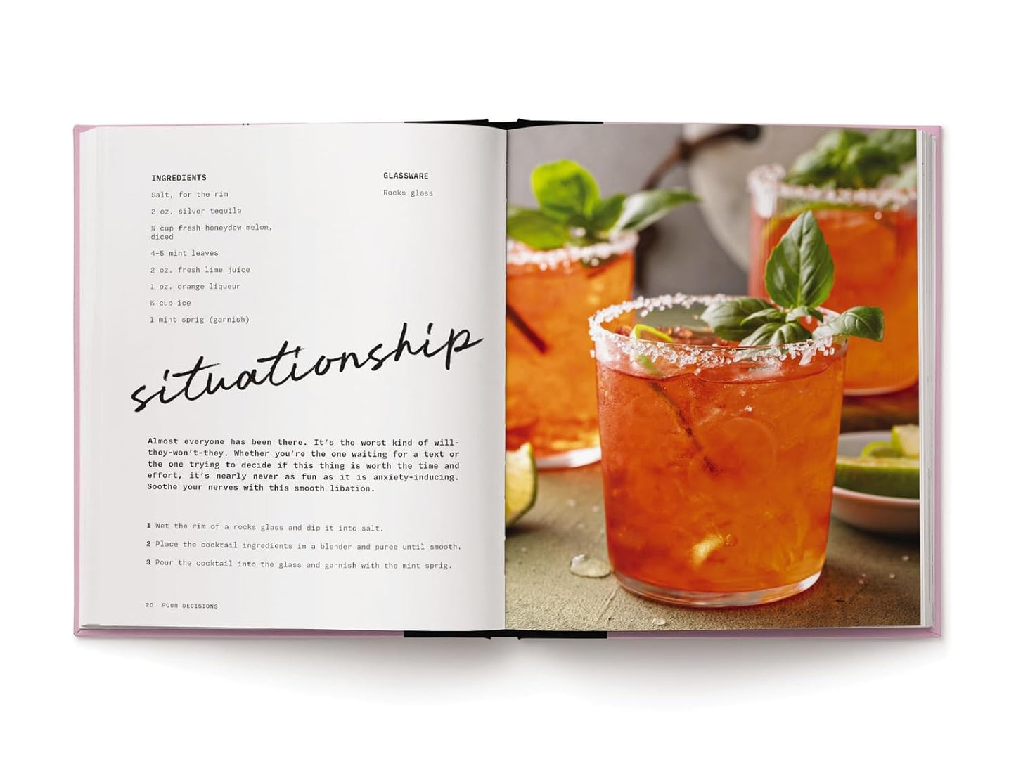 Pour Decisions: 100 Cocktails Inspired by Your Ex - Findlay Rowe Designs