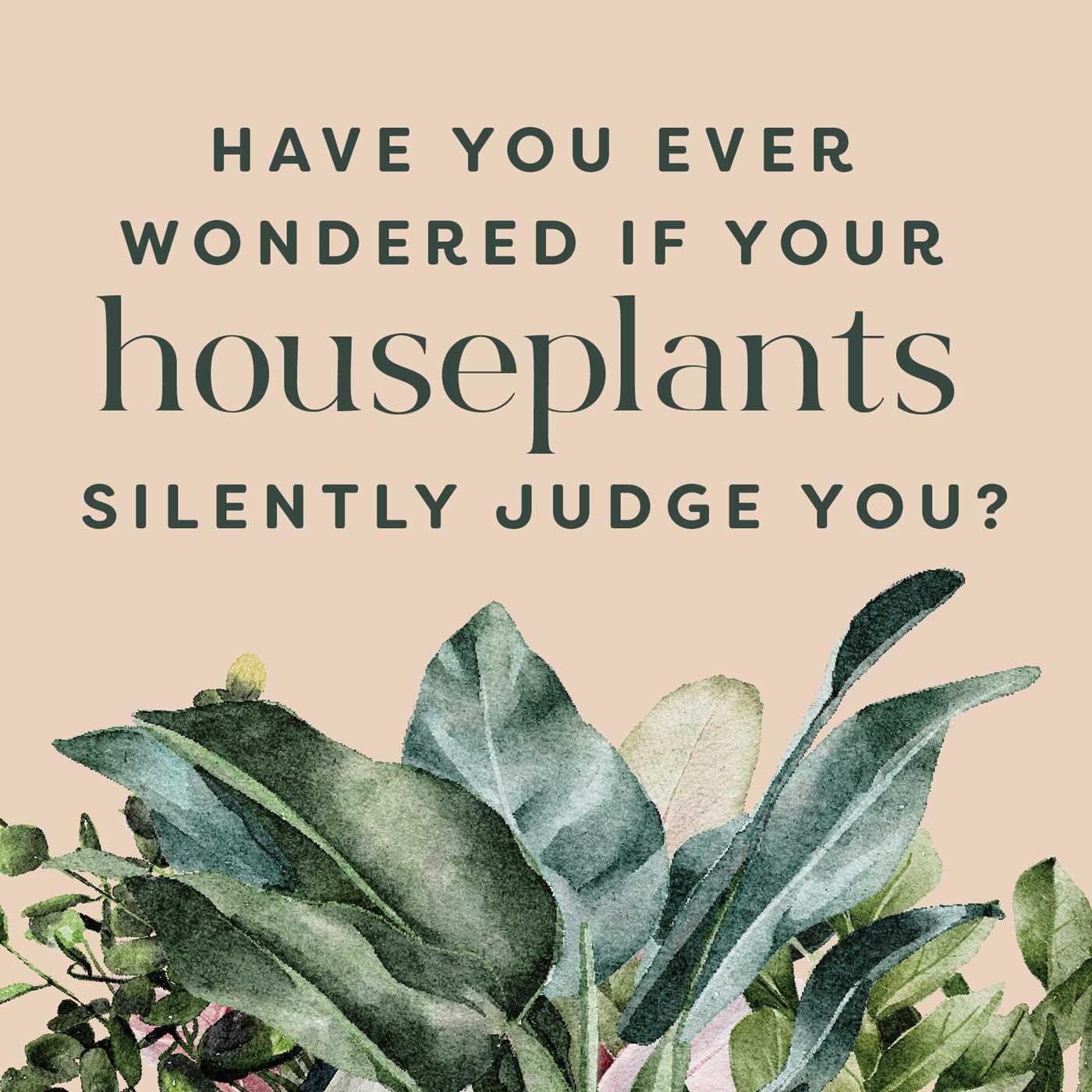Houseplants and Their F*cked-Up Thoughts - Findlay Rowe Designs