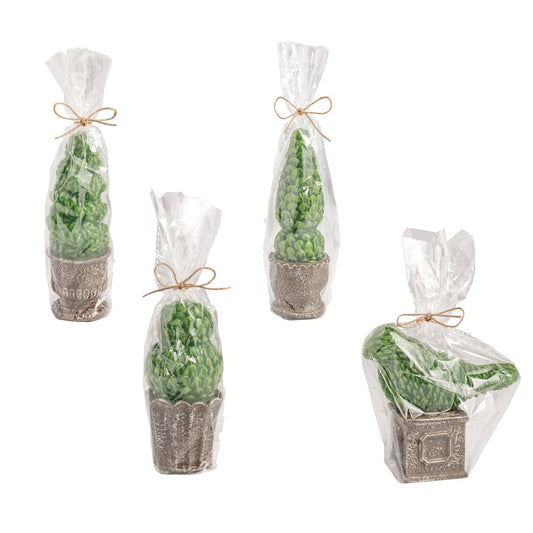 Mud Pie - Candle - Topiary - Findlay Rowe Designs
