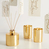 Frasier Fir - Reed Diffuser - Petite Gold
