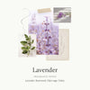Thymes - Replenishing Hand Lotion - Lavender i - Findlay Rowe Designs