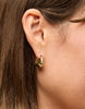 Spartina - Earrings - Lina Hoop - Findlay Rowe Designs