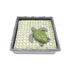 Mariposa- GREEN SEA TURTLE NAPKIN WEIGHT