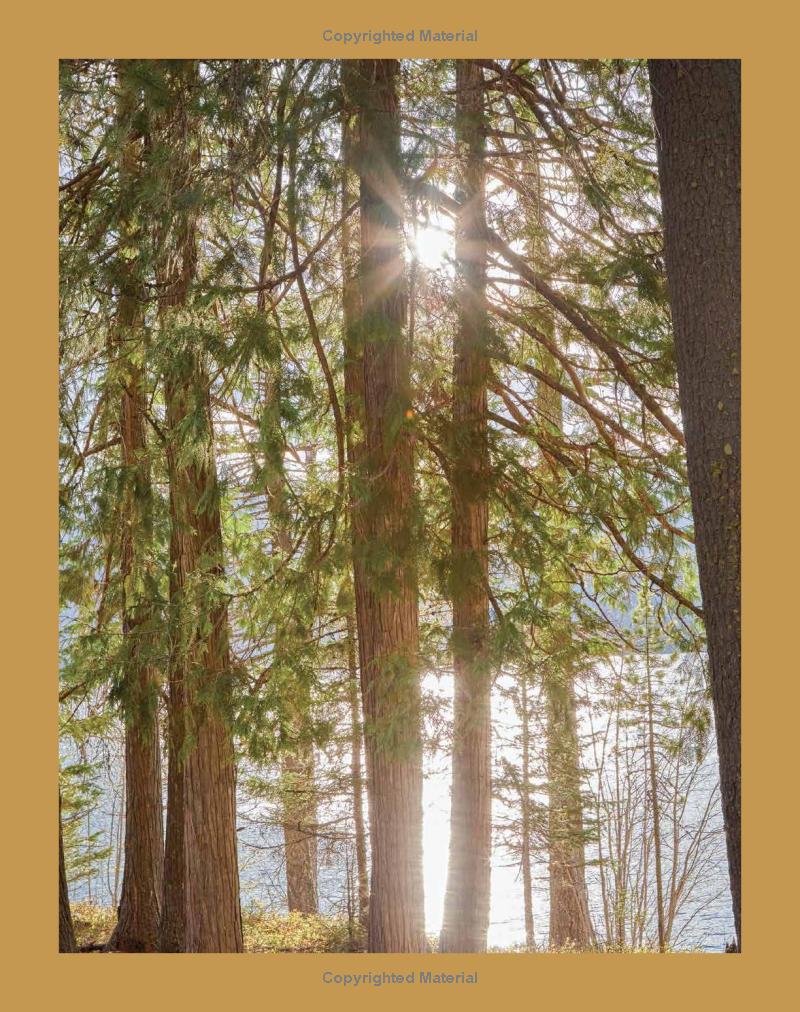 Lodge: An Indoorsy Tour of America’s National Parks - Findlay Rowe Designs