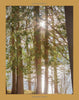 Lodge: An Indoorsy Tour of America’s National Parks - Findlay Rowe Designs