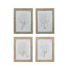Framed Print - Coral - Assorted - Findlay Rowe Designs