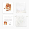 Anne Neilson - Children's Scripture Cards - Findlay Rowe Designs