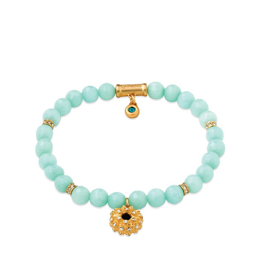 Spartina - Bracelet - 6mm Stretch - Aqua/Urchin - Findlay Rowe Designs