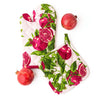 8 Oak Lane - Oven Mitt & Potholder - Pomegranate Grove - Set 2 - Findlay Rowe Designs