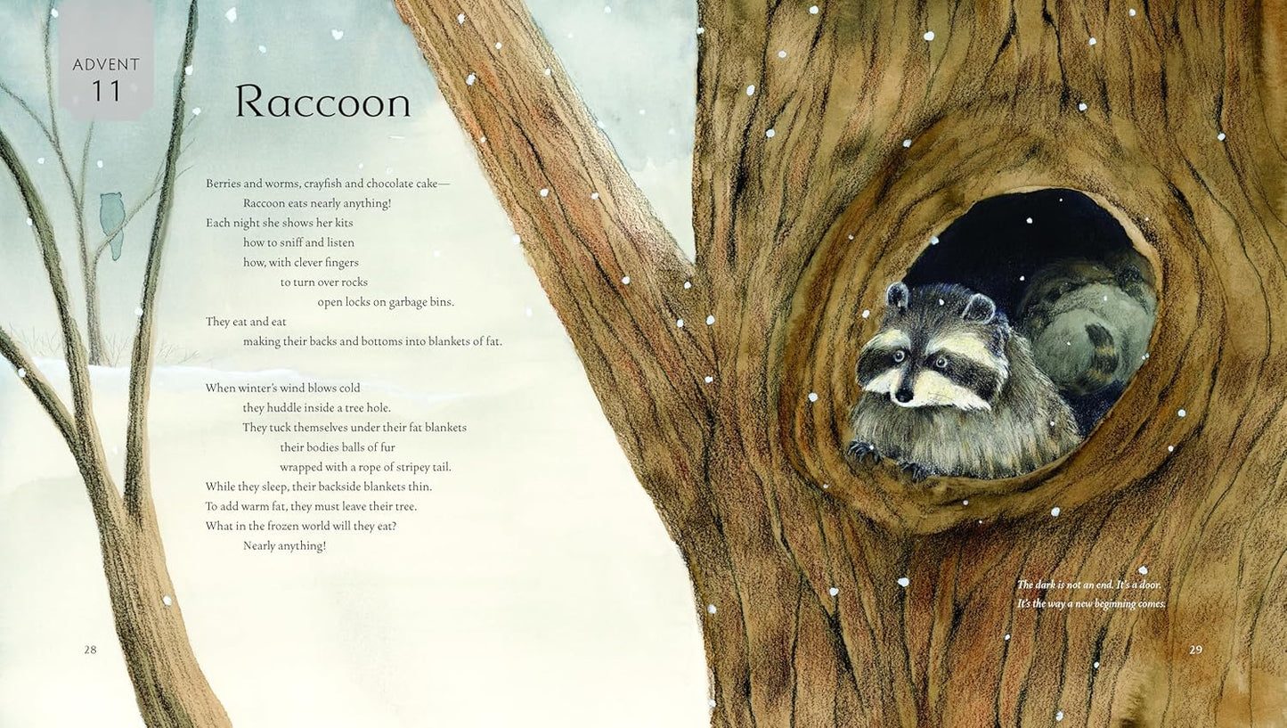 All Creation Waits - Children's Edition Advent Book