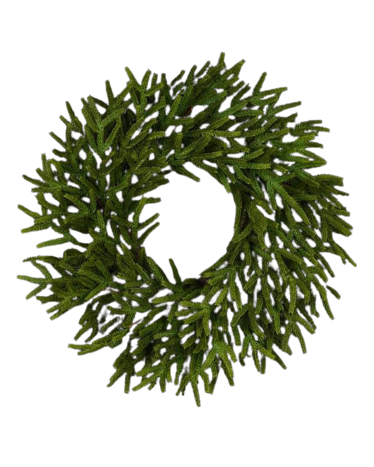 A&B Floral - Wreath - Norfolk Island Pine - 24