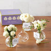 Bud Vase/Place Card Holder - Blown Glass - Set of 4 - Findlay Rowe Designs